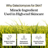 Galactomyces Toner Pad